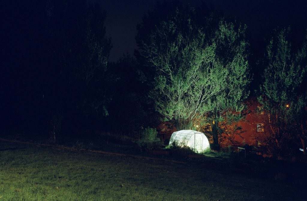 Daniel Sambo - Urban Roots (2011)