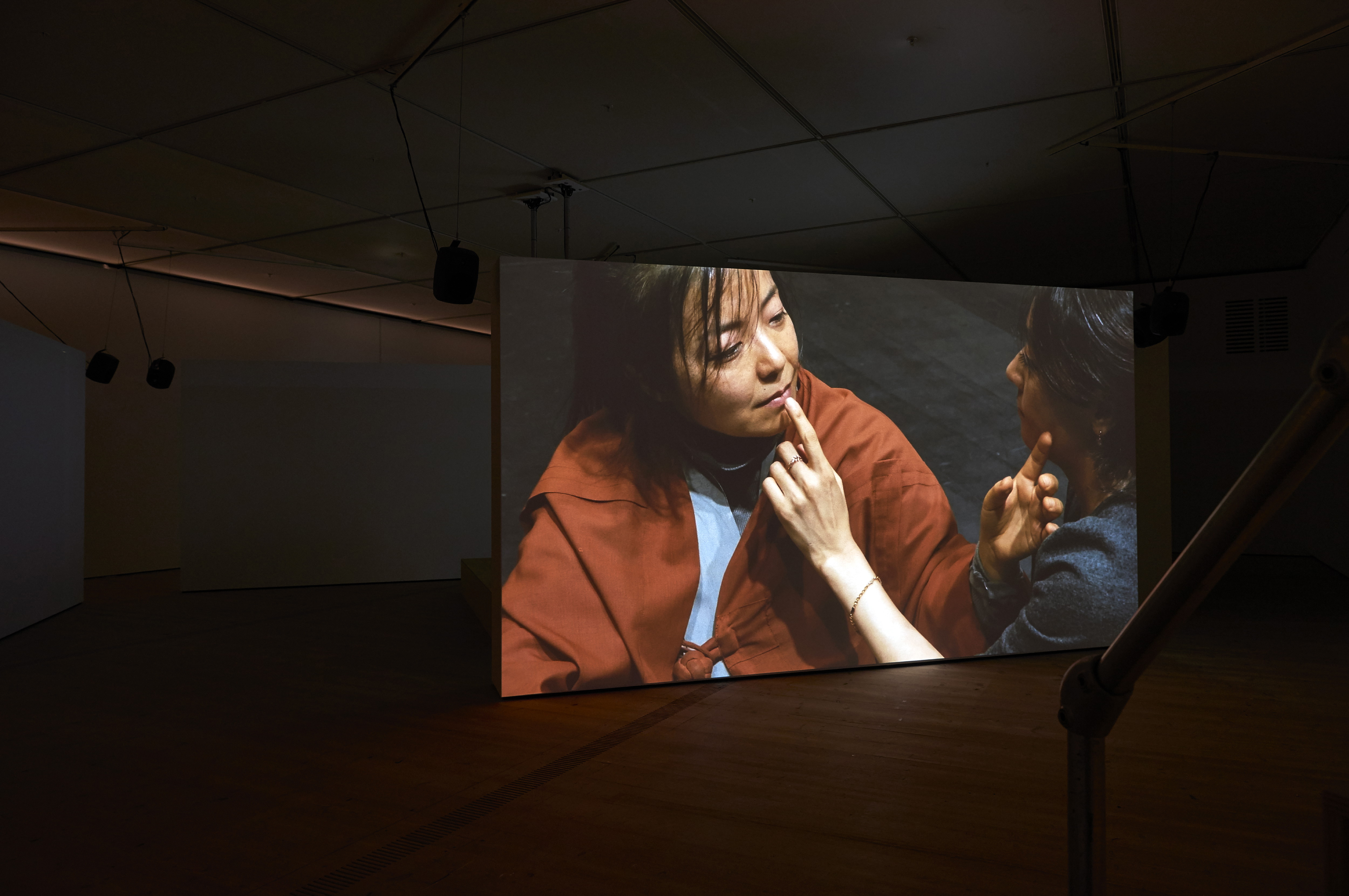 Shen Xin, Provocation of the Nightingale, BALTIC Artists' Award 2017