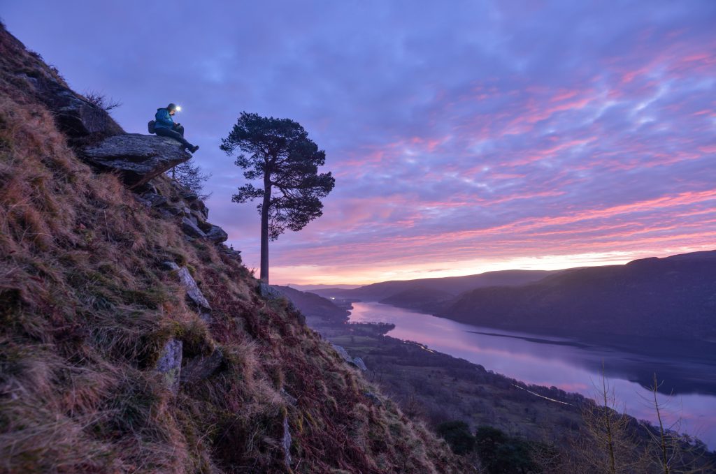The Long View Rob Fraser Harriet Fraser