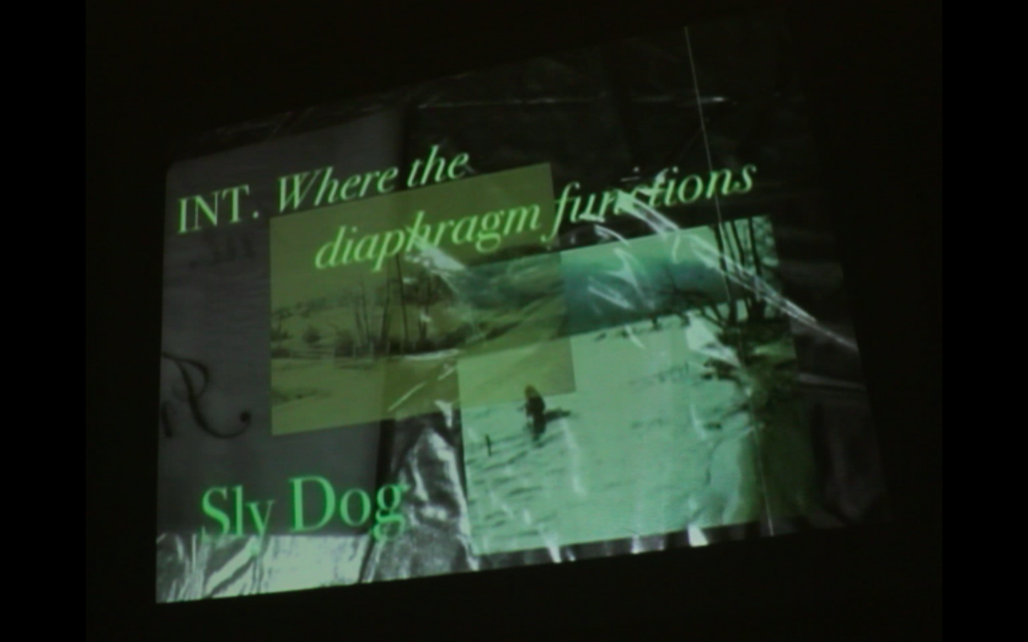 A photograph of a projected image. It features a number of overlaid photographs and text in shades of green.