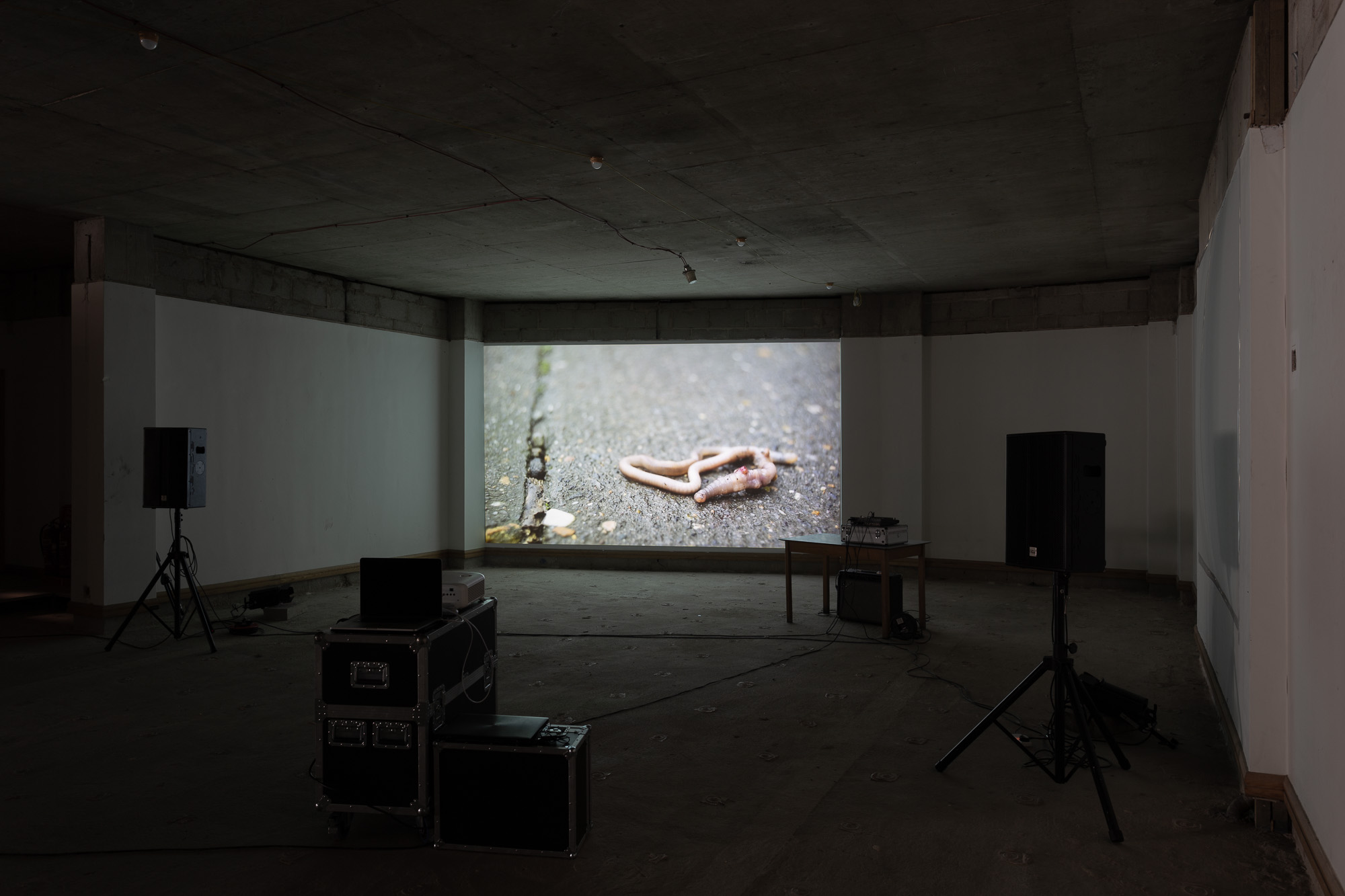 A view of a darkened room, with an artist's film projected on the back wall.