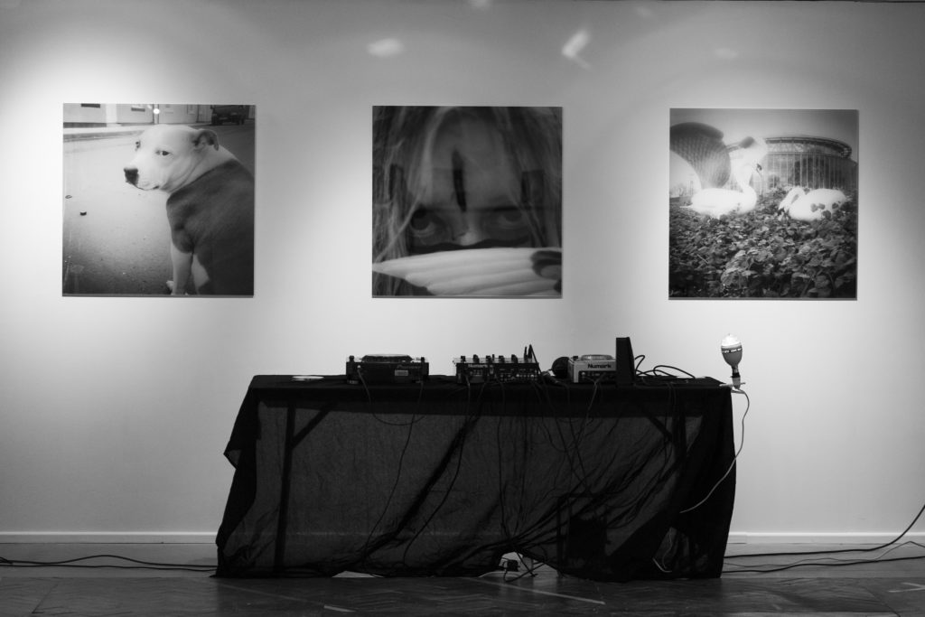 Sophie Lisa Beresford Abject Gallery Sunderland