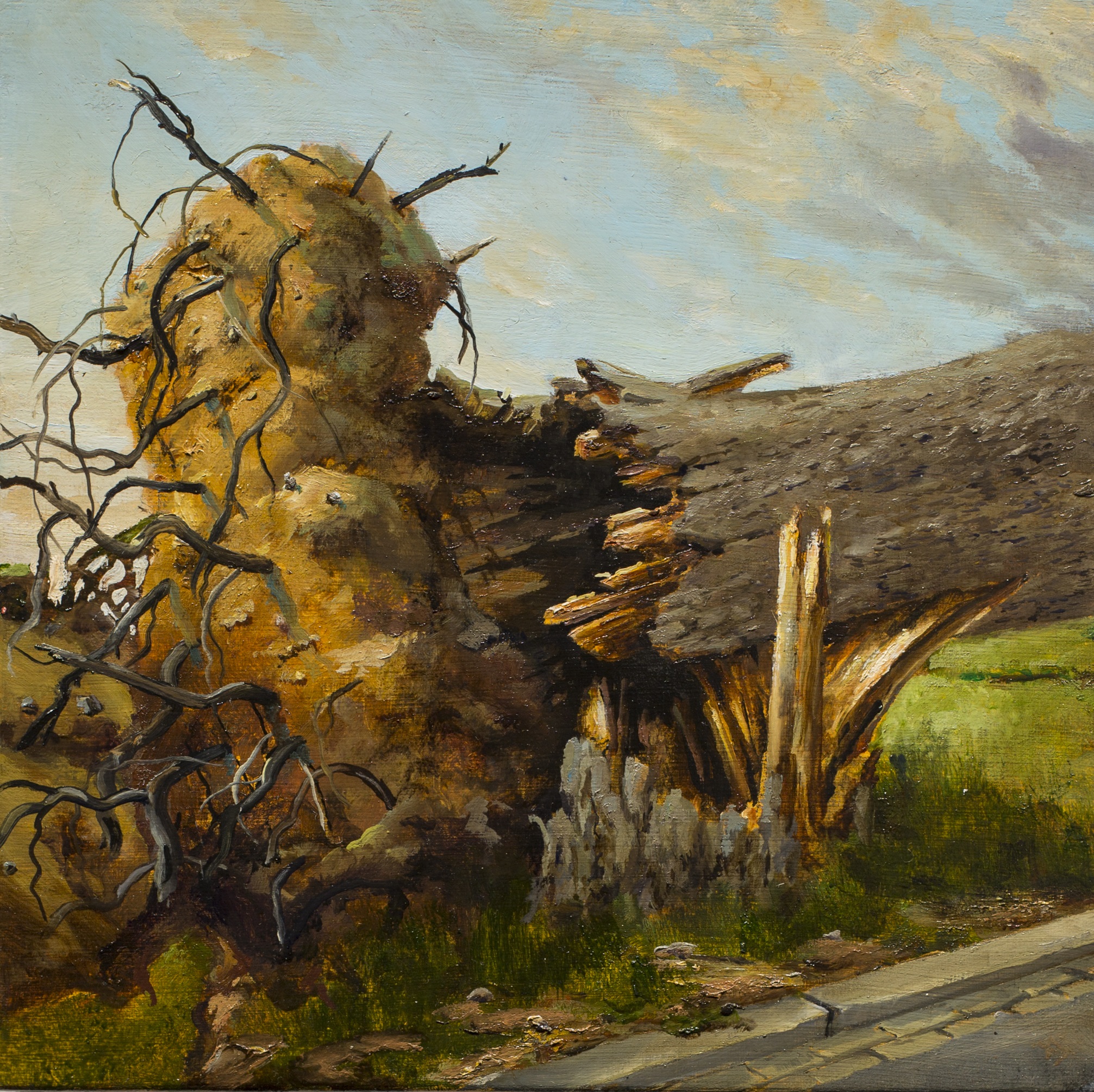 A painting of a felled tree, showing the bottom of the trunk uprooted.