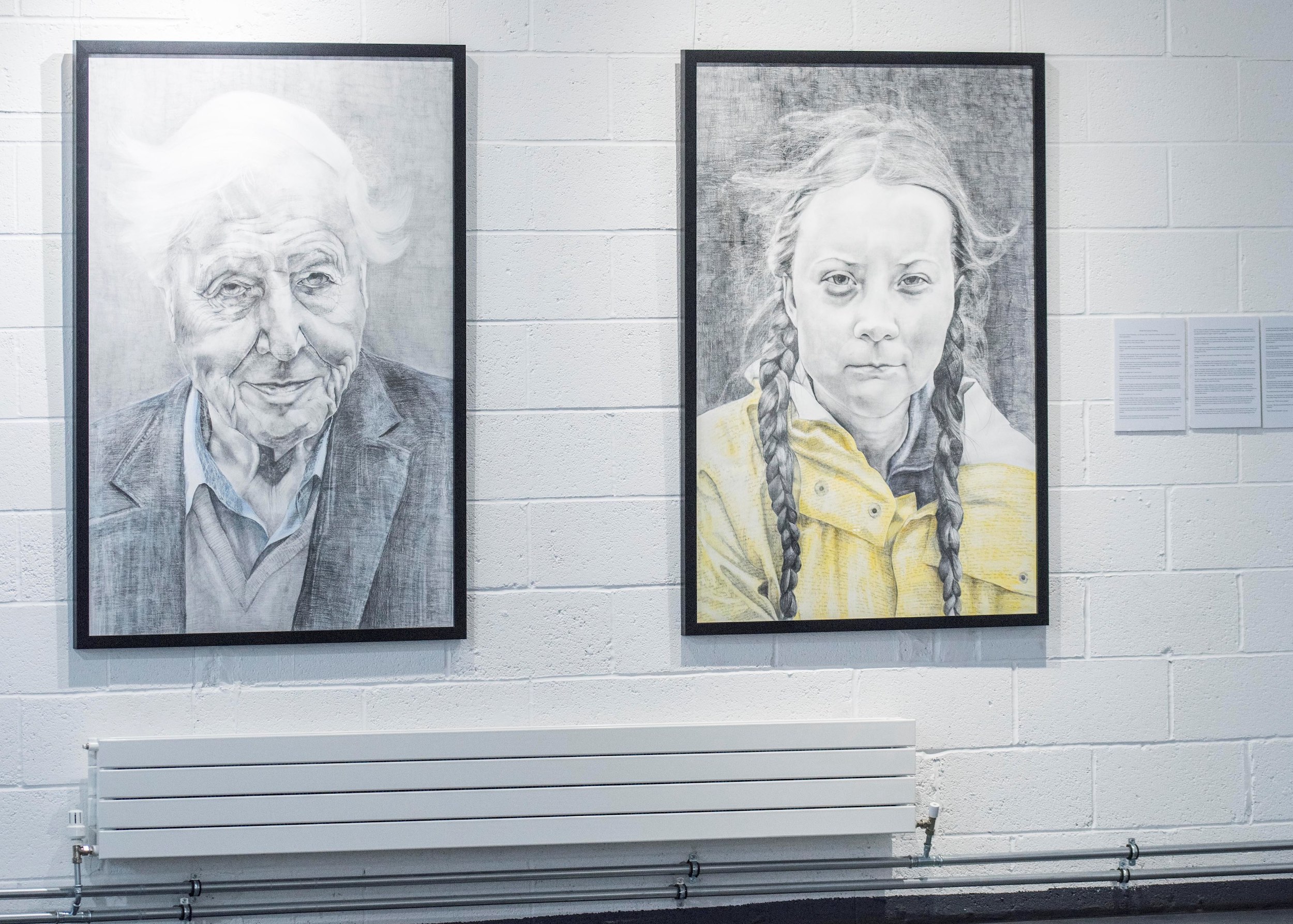 Two framed drawings on a white wall. Both are photo realistic portraits of David Attenburgh and Greta Thunberg.