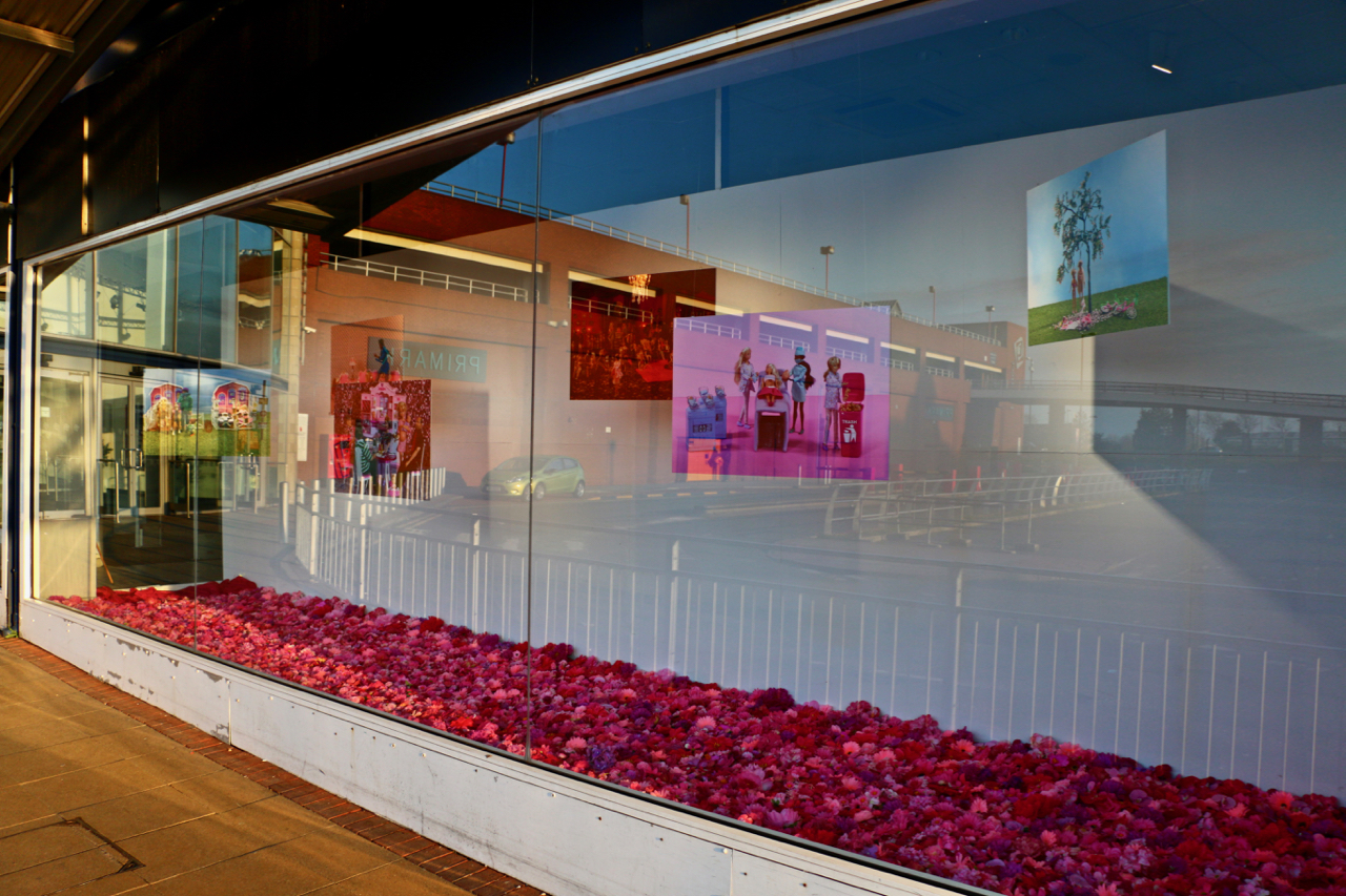 A window display in a shopping centre with hanging photographic images.