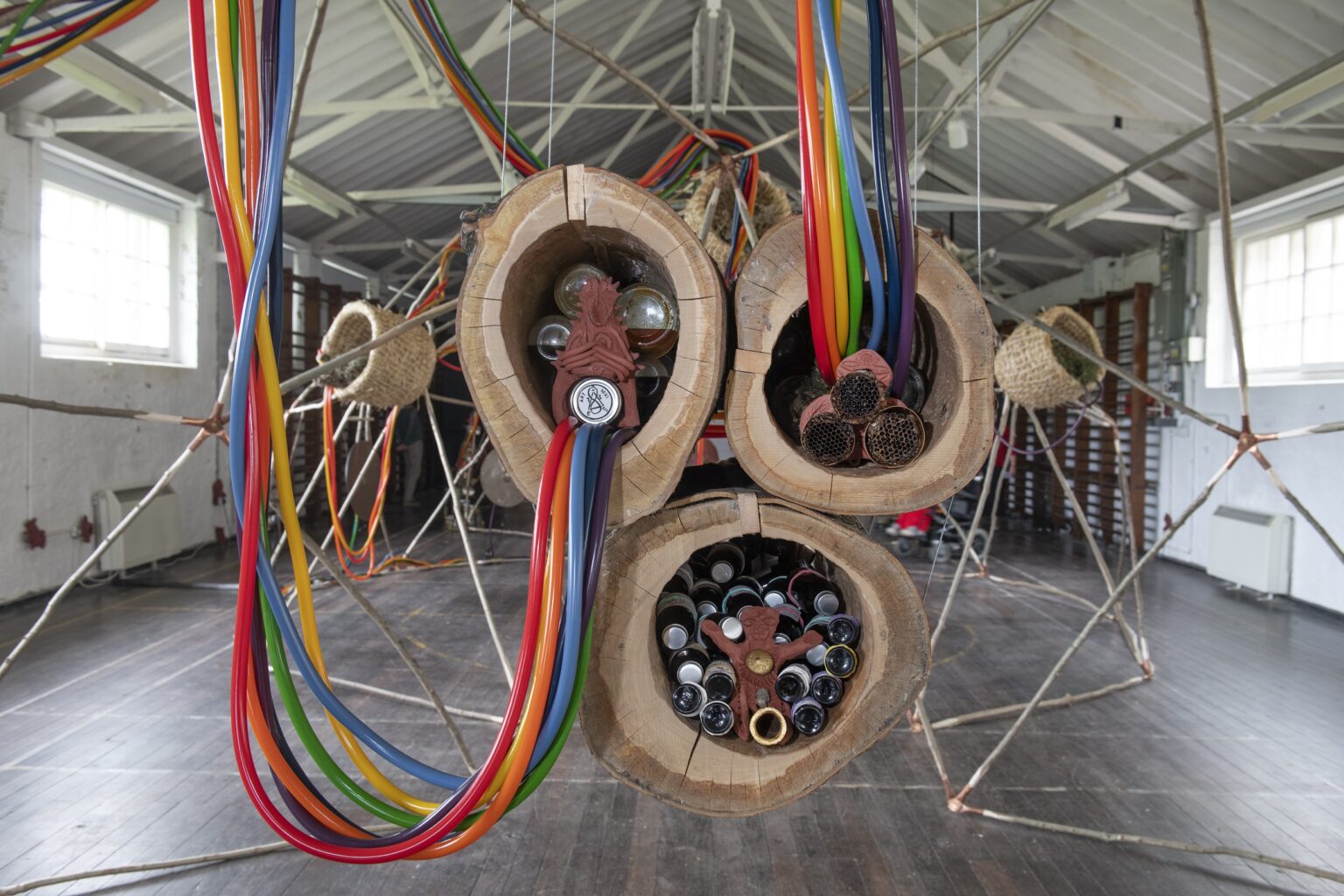 Close up of section of the Installation, Multispecies Visionary Institute by Sabina Sallis at Gymnasium Gallery.