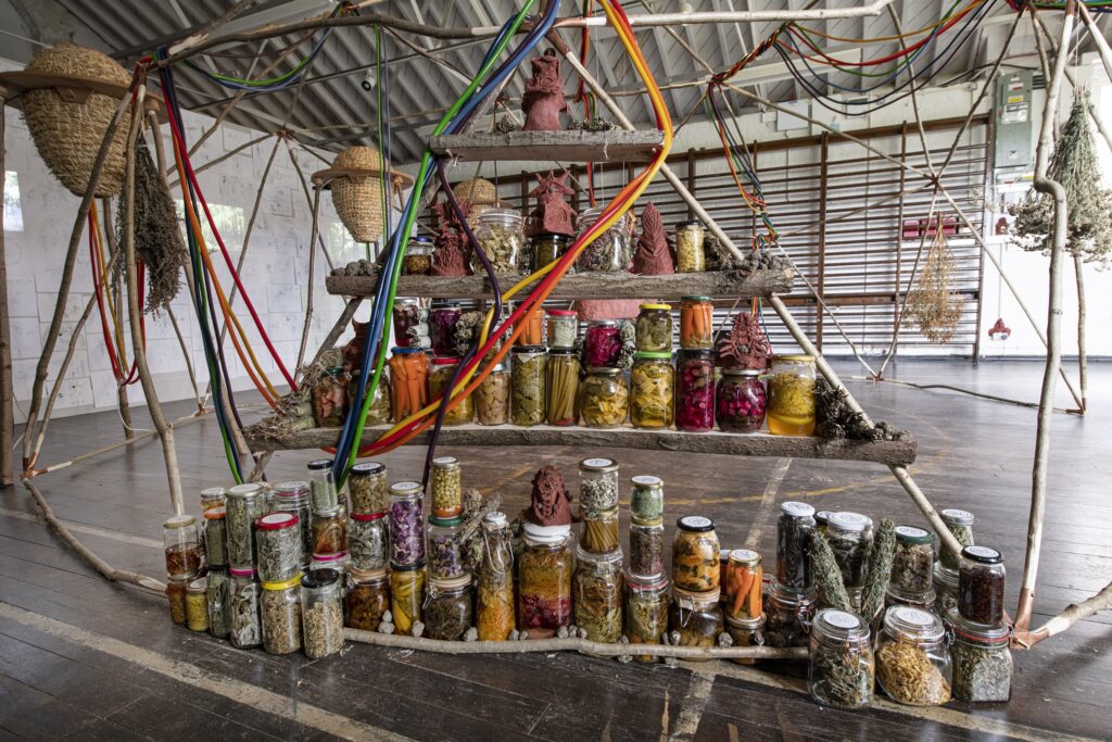 Installation view of Sabina Sallis: Multispecies Visionary Institute