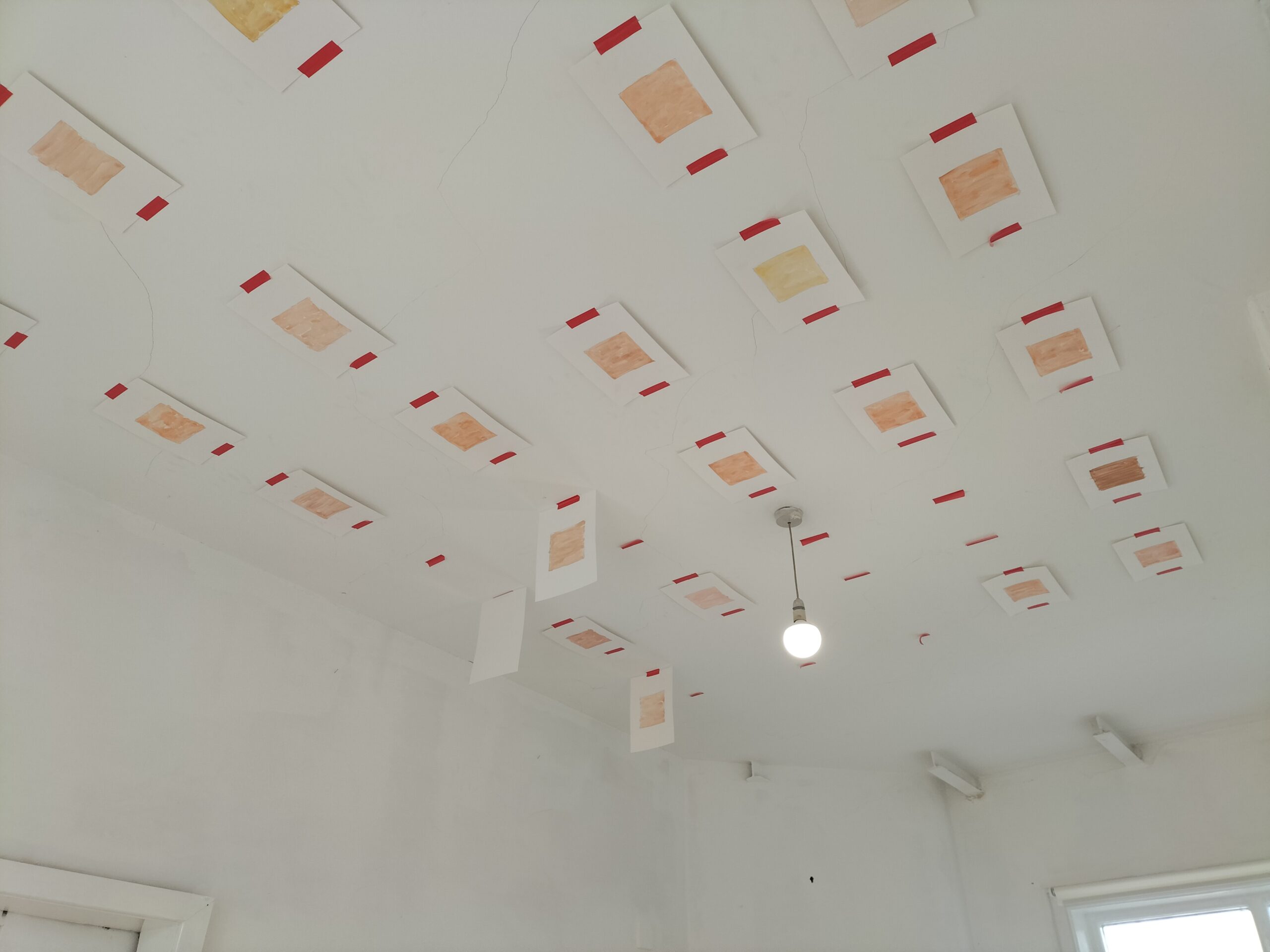 Image of the installation being discussed in the article.