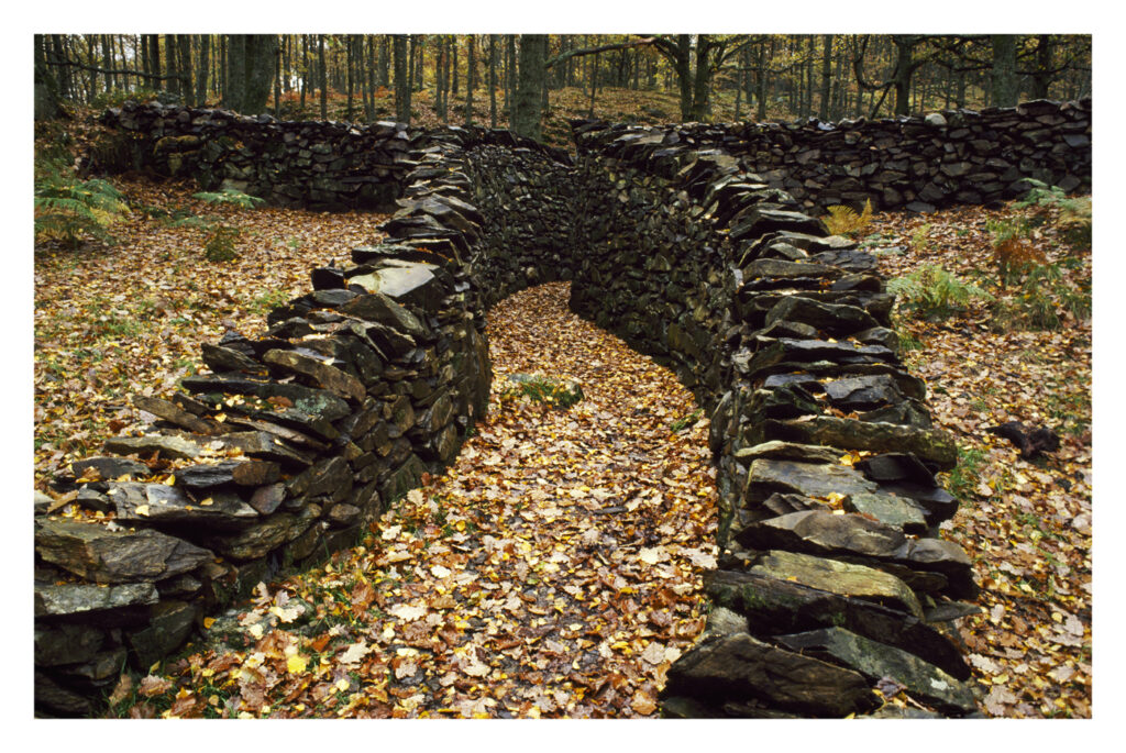 A path between two dry stone walls leads towards a forest, the ground is covered in autumn leaves