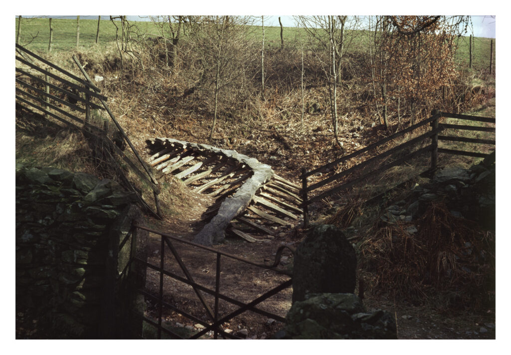 A path of stone slabs propped up with wooden loges leads out of a forest
