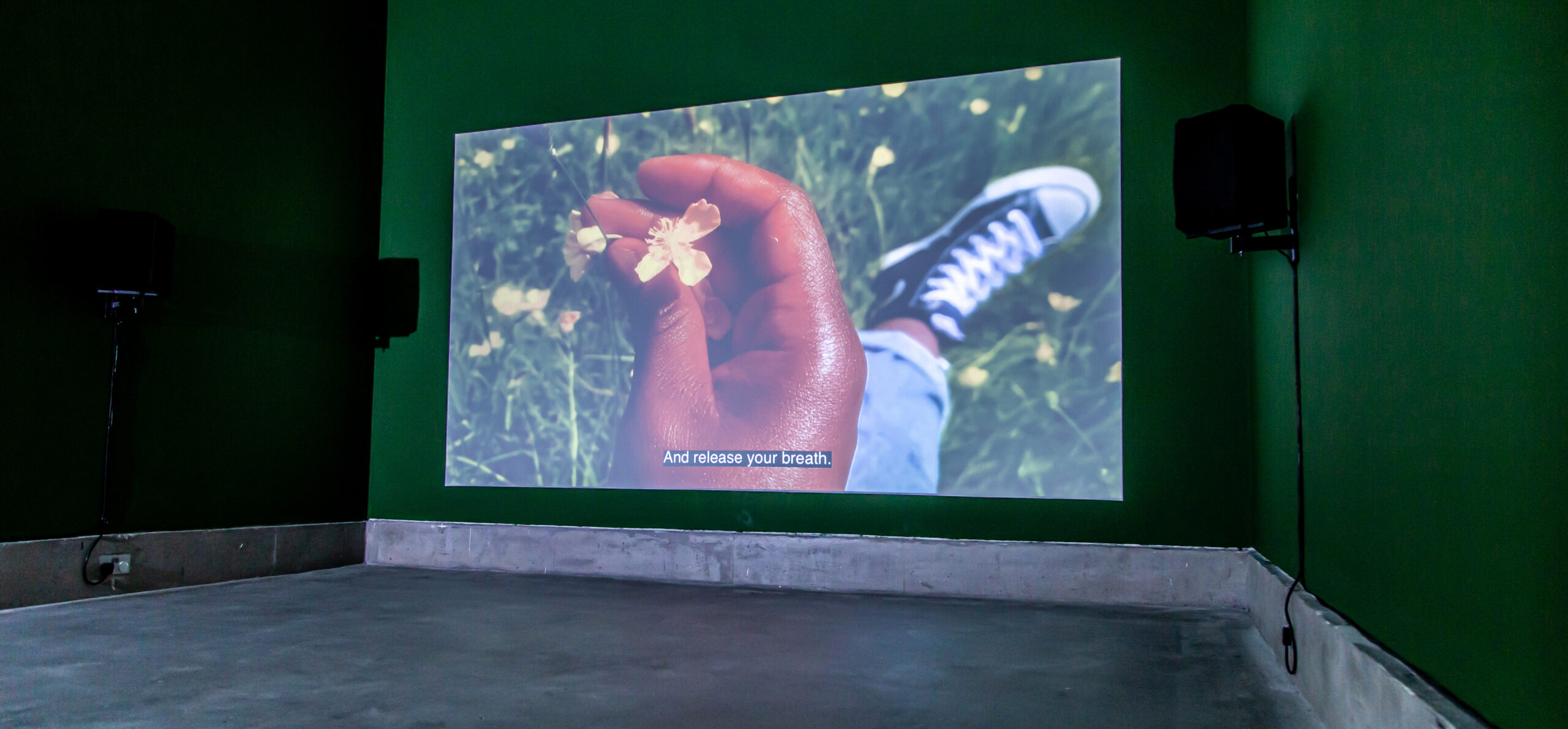 A film still showing a dark-skinned hand holding a yellow buttercup