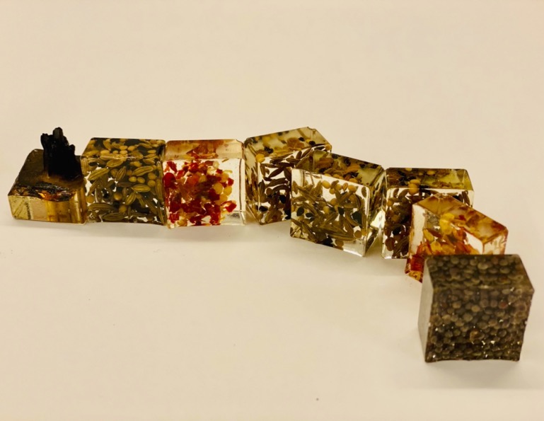 A row of small clear cubes on a peach ground, each containing suspended spices and seeds of varying colours and textures.