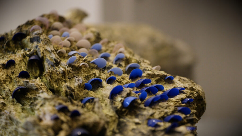 A closeup shot of a piece of driftwood with fake plastic fingernails embedded in the surface. They are arranged in a gradient from nude, through pale blue to dark blue at the front.