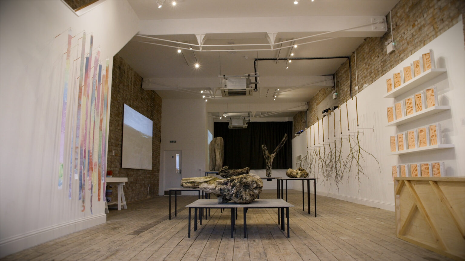 low tables with driftwood sculptures in a gallery space