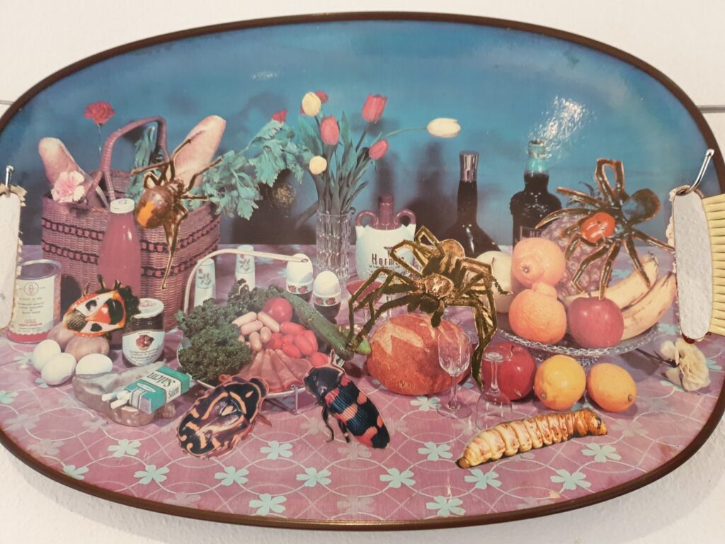 An old fashioned lunch tray showing picnic foods overlaid with images of insects.