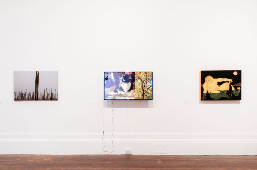 A white wall with three rectangular works in a row. Left is pale grey with brown stick like shapes in a line at the bottom, middle is a monitor with a still of a cat and a tree, right is a painting of a naked person in water.