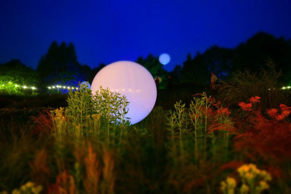 An image of a garden at night. In the foreground plants and flowers, close up and blured. In the middle, offset to the left, a smooth white orb or ball. Behind it the rest of the garden, or landscape in silhouette against a blue night sky