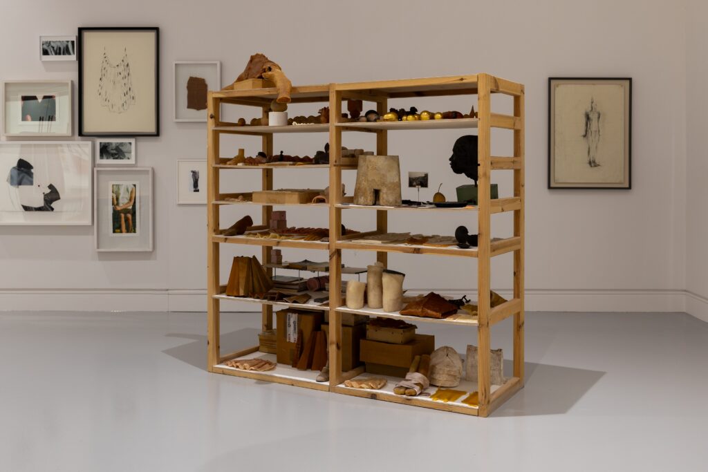 Open wooden shelving containing a variety of made, cast and modelled objects. The wall behind has an arrangement of framed images.