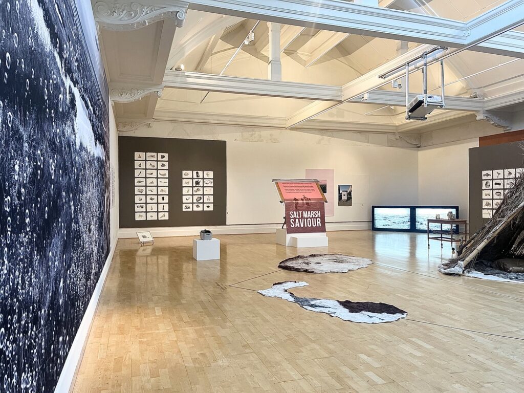 A view of the gallery that shows on the left the bubble image photograph and in the middle the salt march saviour