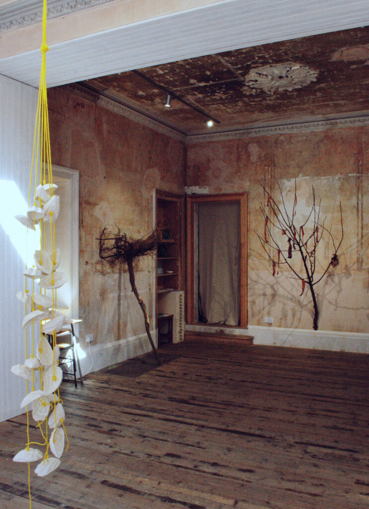 Fallow Land installation view, wooden floorboards, stained walls like a run down old house. In the foreground some shells suspended by yellow string, n the background, by a doorway, a branch of a tree stood up from the skirting board.